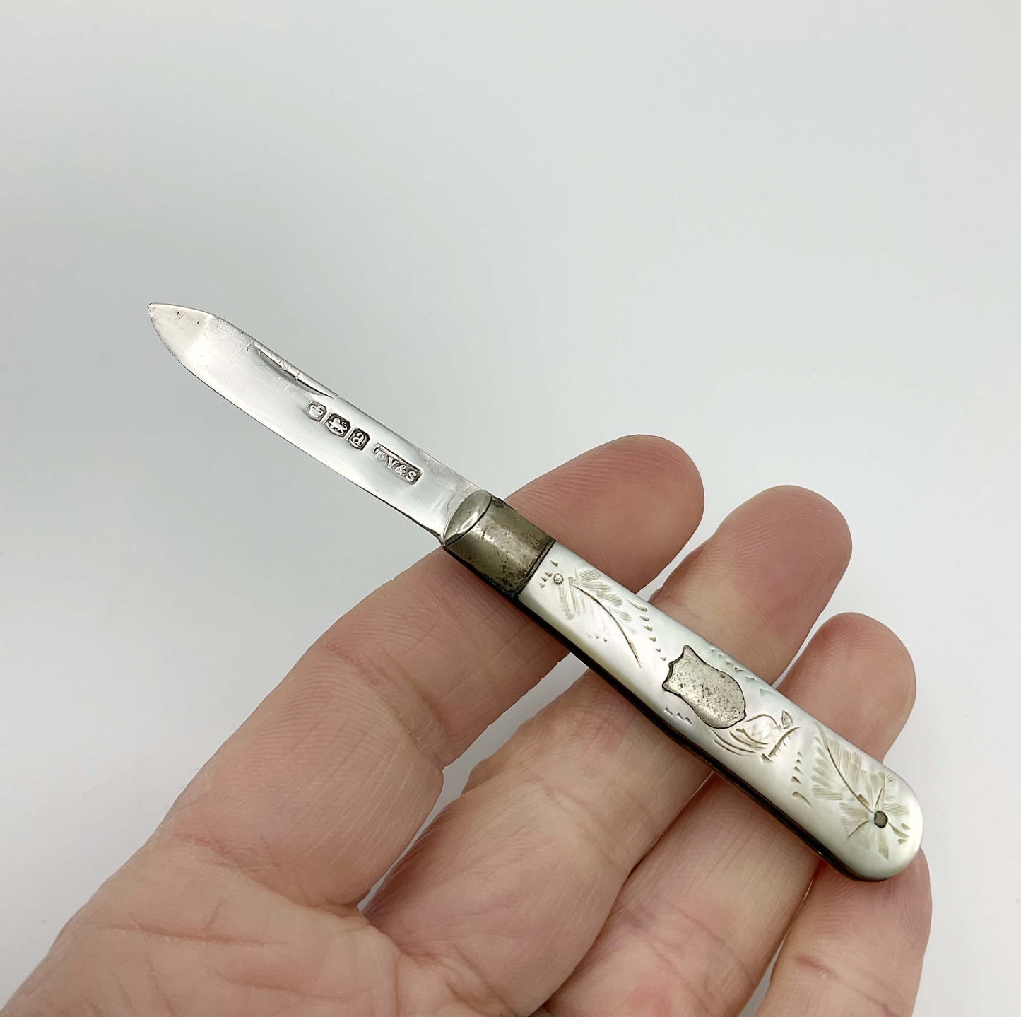 Silver fruit knife with a engraved mother of pearl handle in a hand on a white background