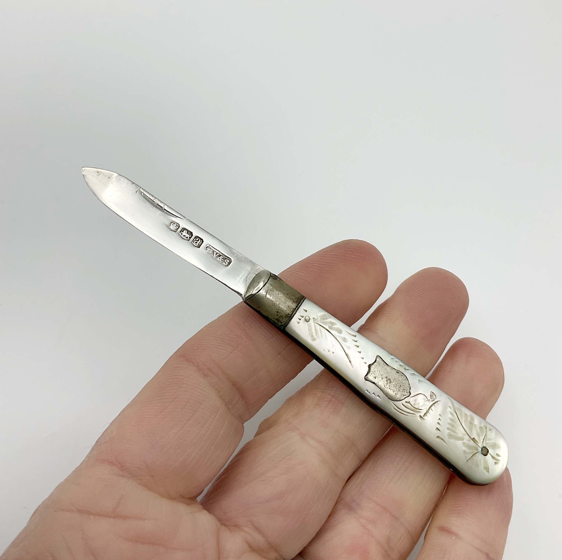 Silver fruit knife with a engraved mother of pearl handle in a hand on a white background