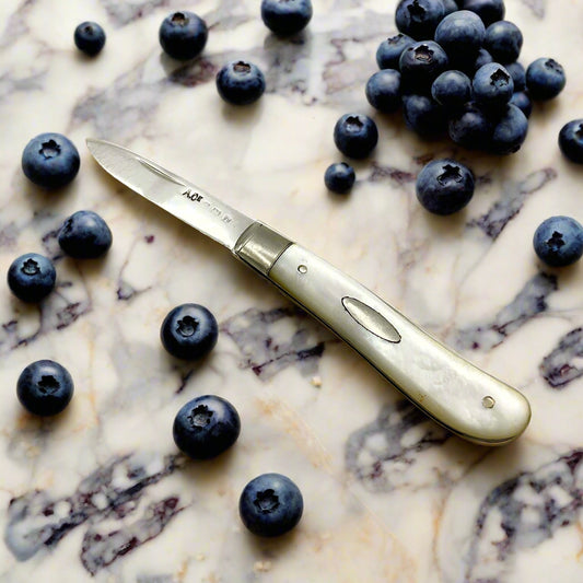 Silver bladed fruit knife with a mother of Pearl handle on a mr workbench surrounded by blueberries