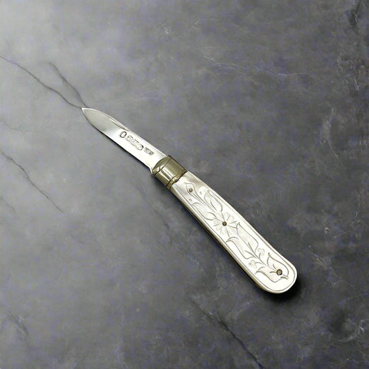 Silver fruit knife on a granite worktop