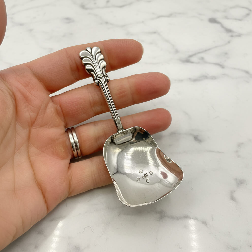 Silver caddy spoon held in a hand on a marble surface