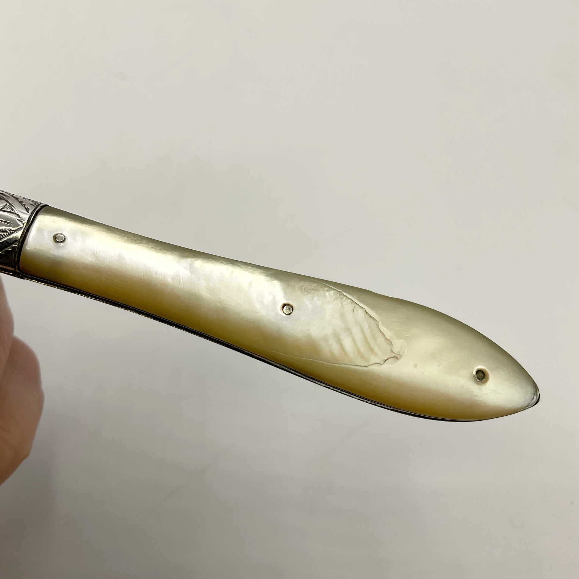 Decorative knife handle with a hand holding it against a plain background