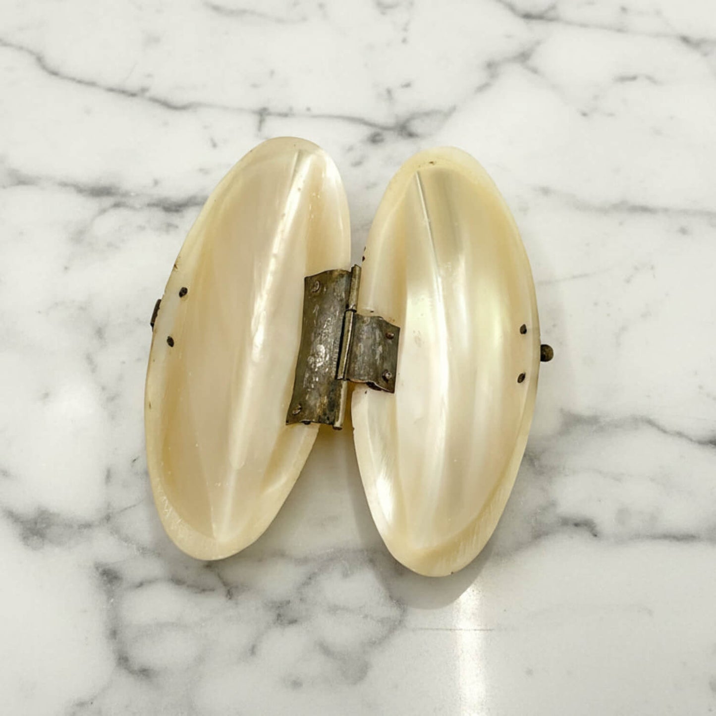 antique shell pill box with a metallic clasp on a marble background