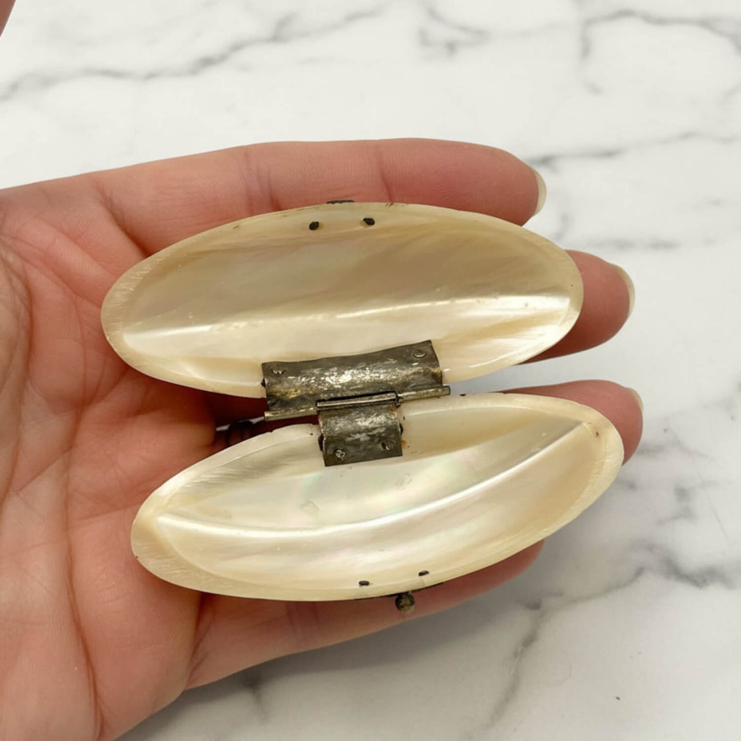 Hand holding an open shell-shaped  box with a marble background