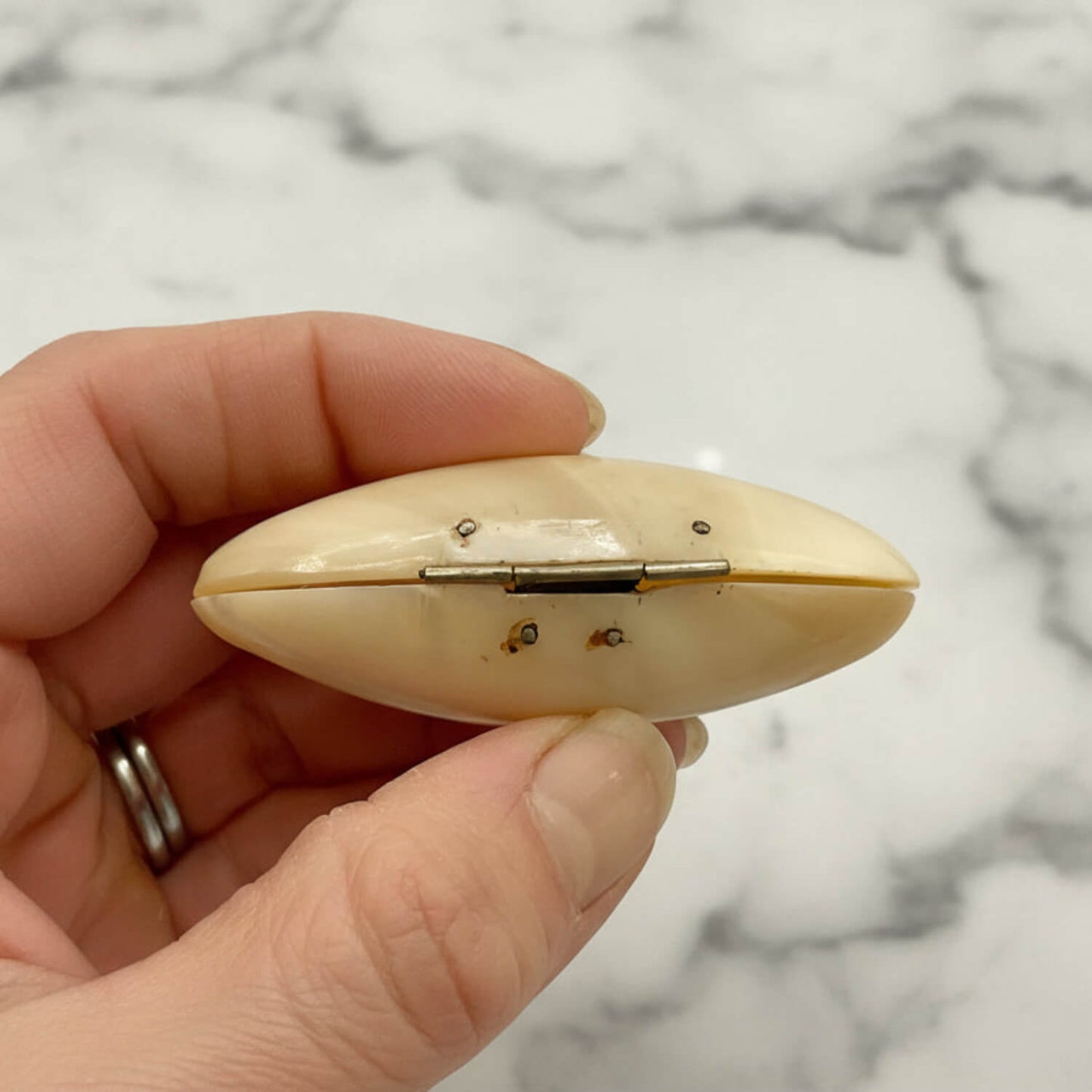 Hand holding a small, oval-shaped, cream-colored shell box against a marble background.