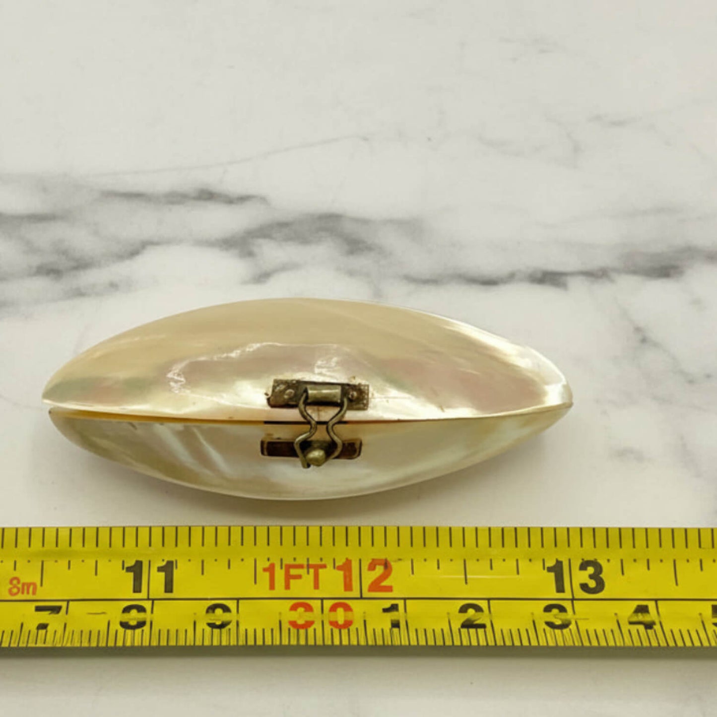 Shell pill box on a marble surface with a measuring tape for scale.