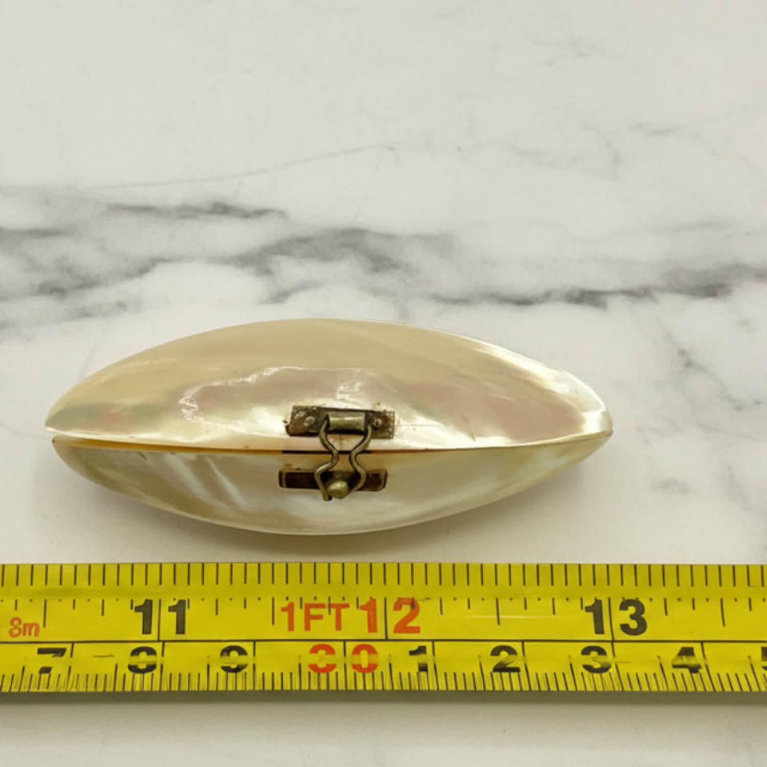 Shell pill box on a marble surface with a measuring tape for scale.