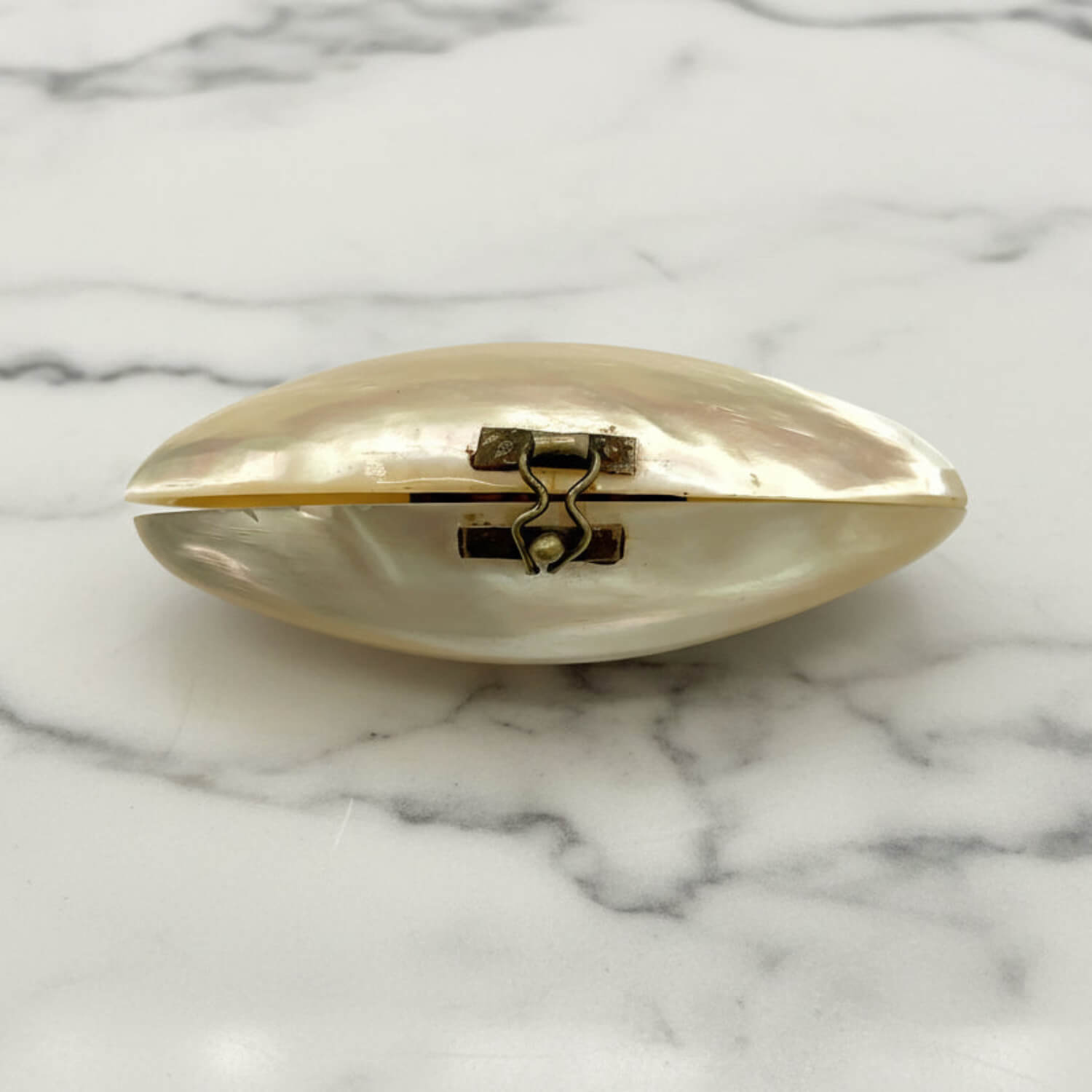 shell-shaped box on a marble surface