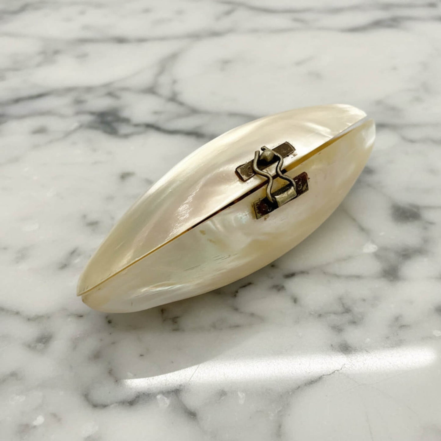 Shell-shaped box with a clasp on a marble surface