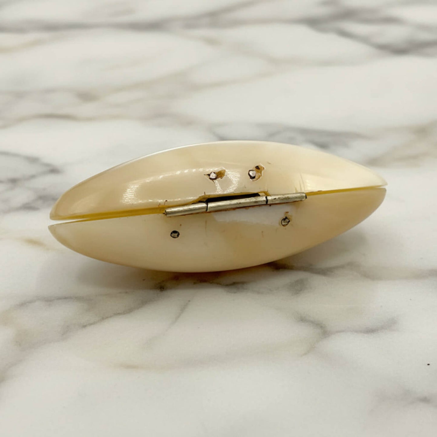 small shell pill box on a marble surface