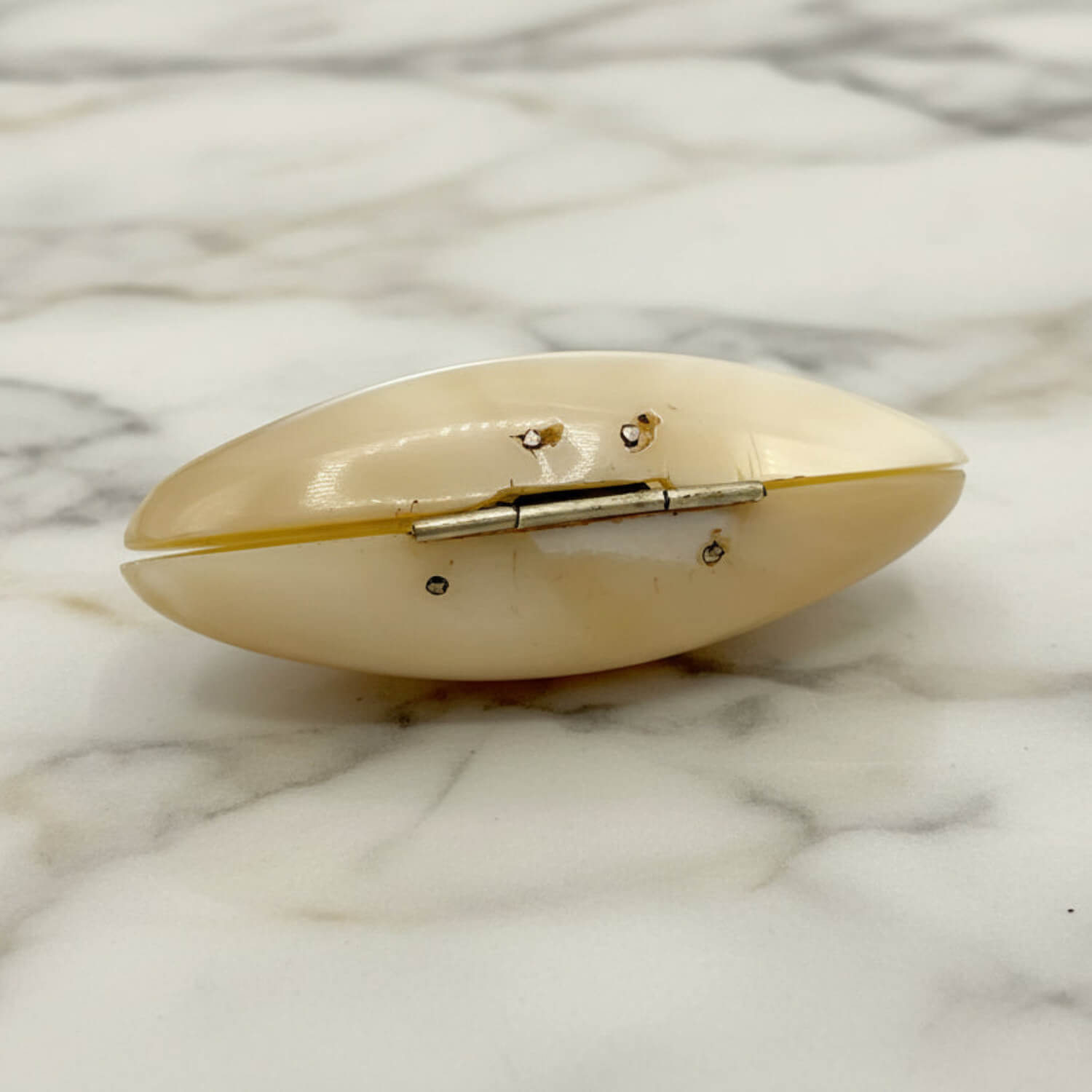 small shell pill box on a marble surface