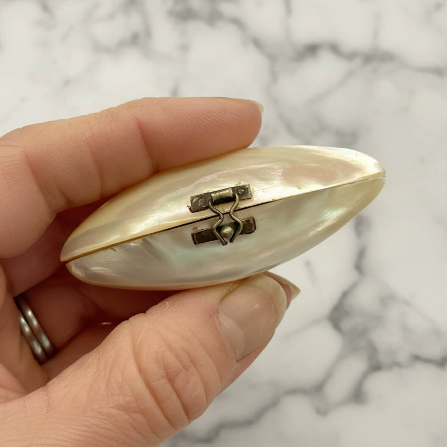 Hand holding a small, oval-shaped shell pill box with a marble background