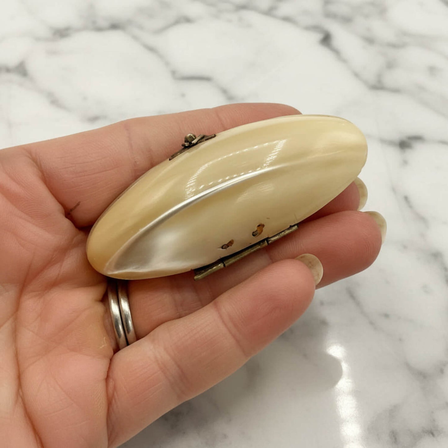 Hand holding a small, oval-shaped shell pill box against a marble background