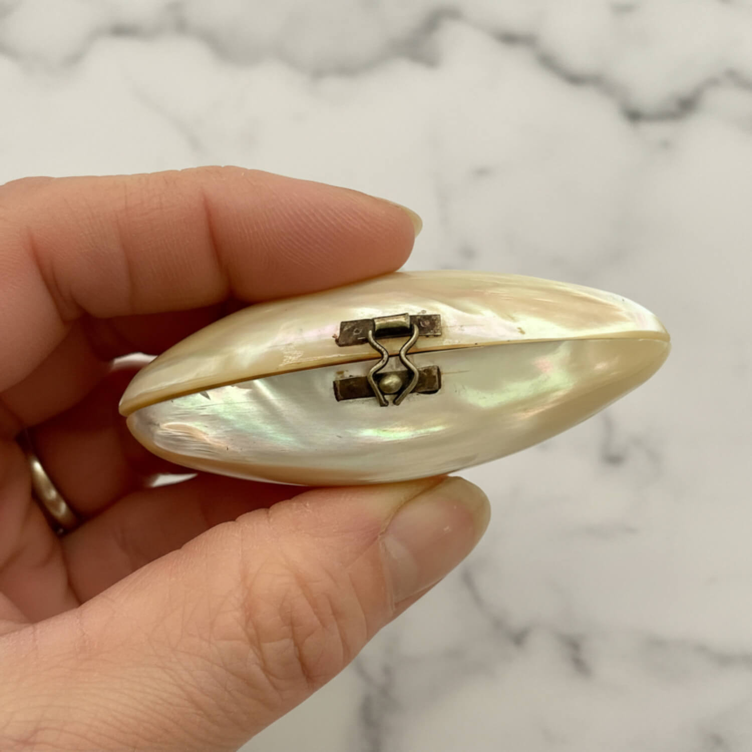 Hand holding a shell-shaped box with a marble background