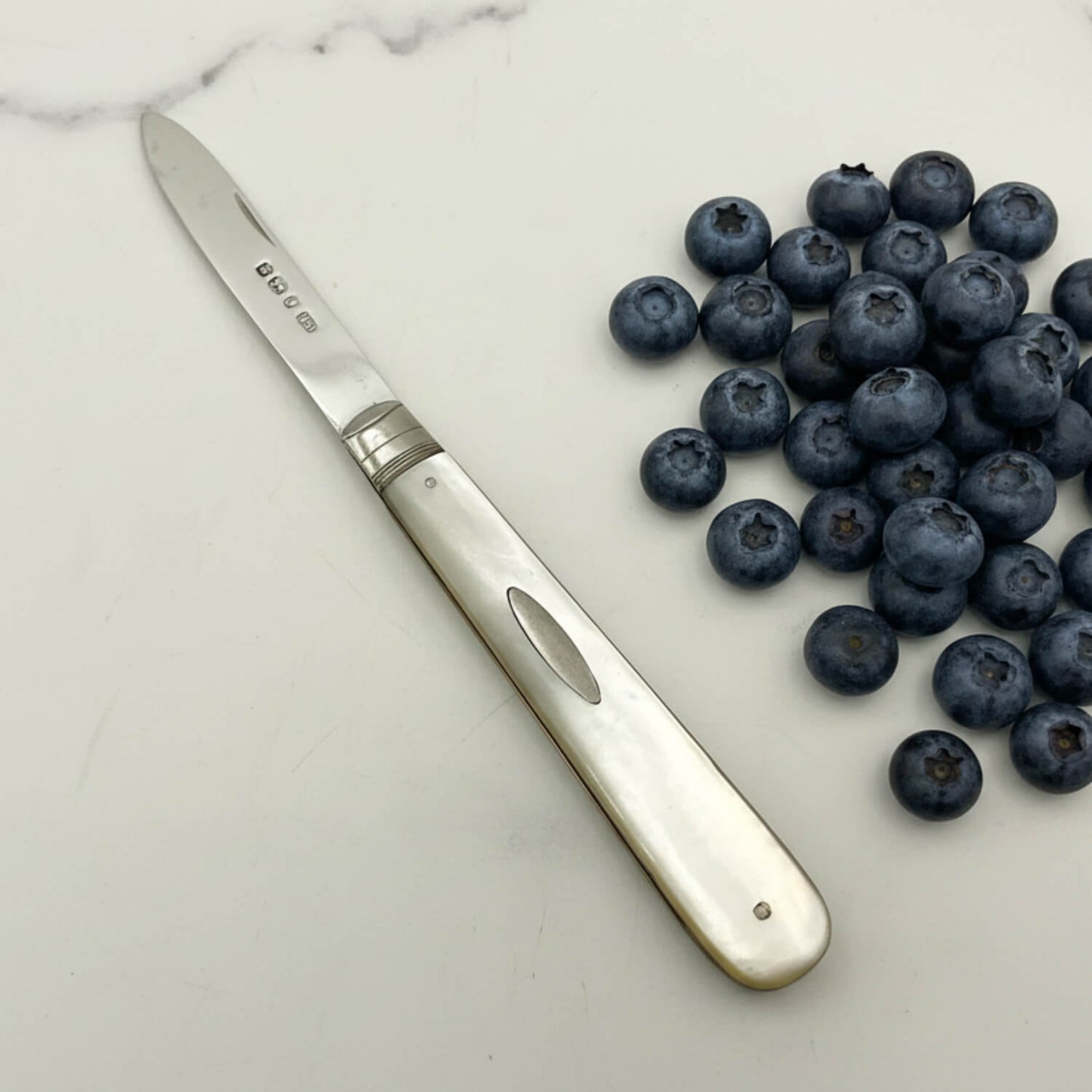 Knife with a decorative handle next to blueberries on a white surface