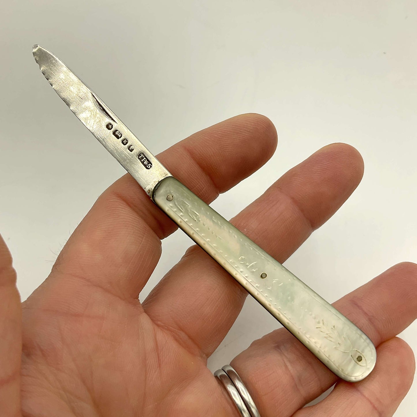 Hand holding a silver fruit knife against a plain background