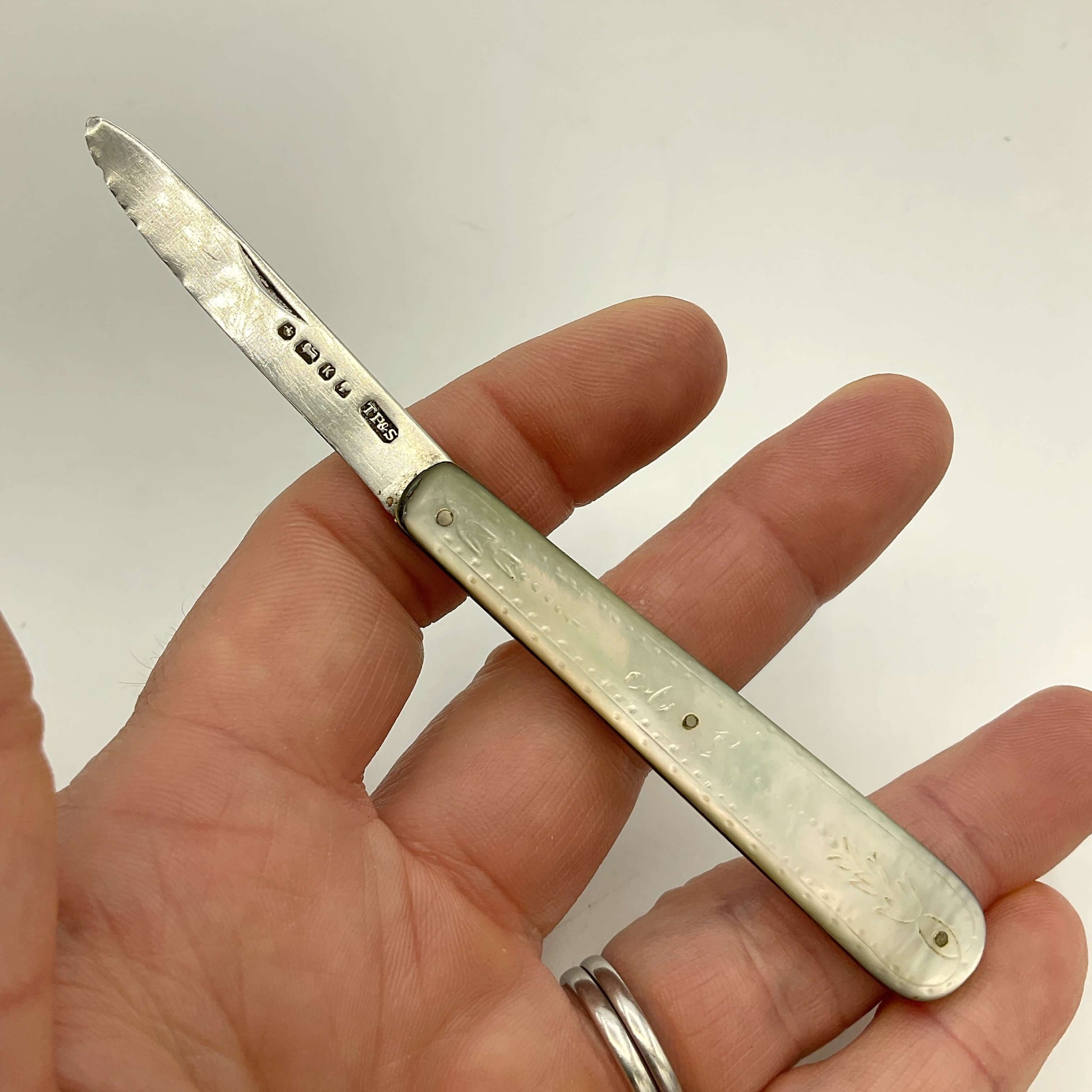 Hand holding a silver fruit knife against a plain background