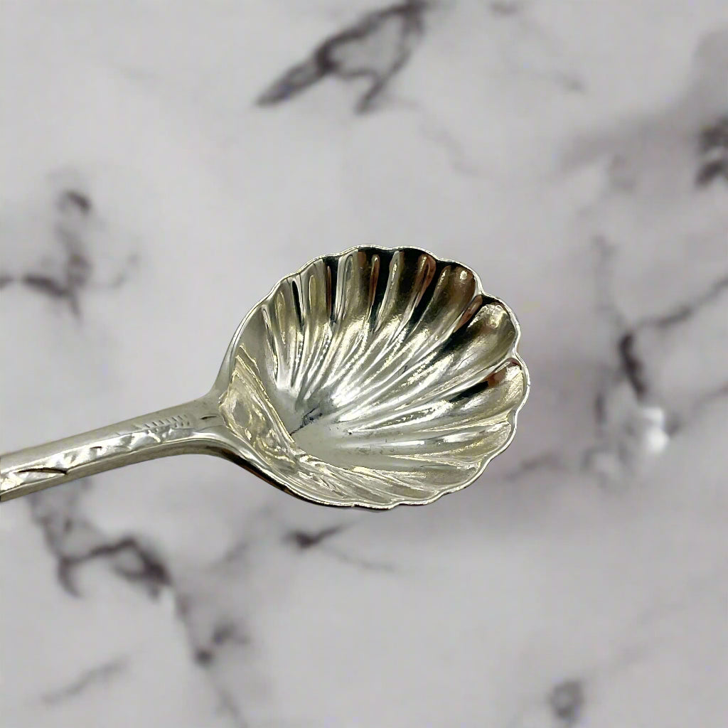 Silver shell-shaped spoon on a light marble background