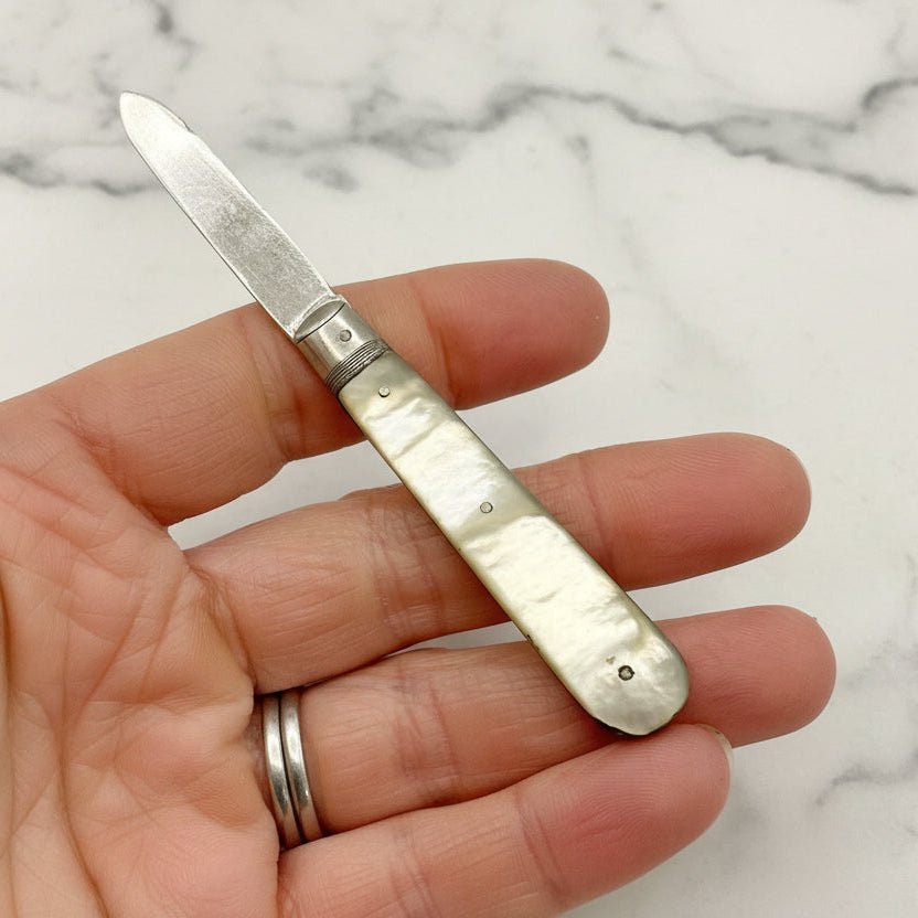 Hand holding a small folding knife with a decorative handle on a plain background