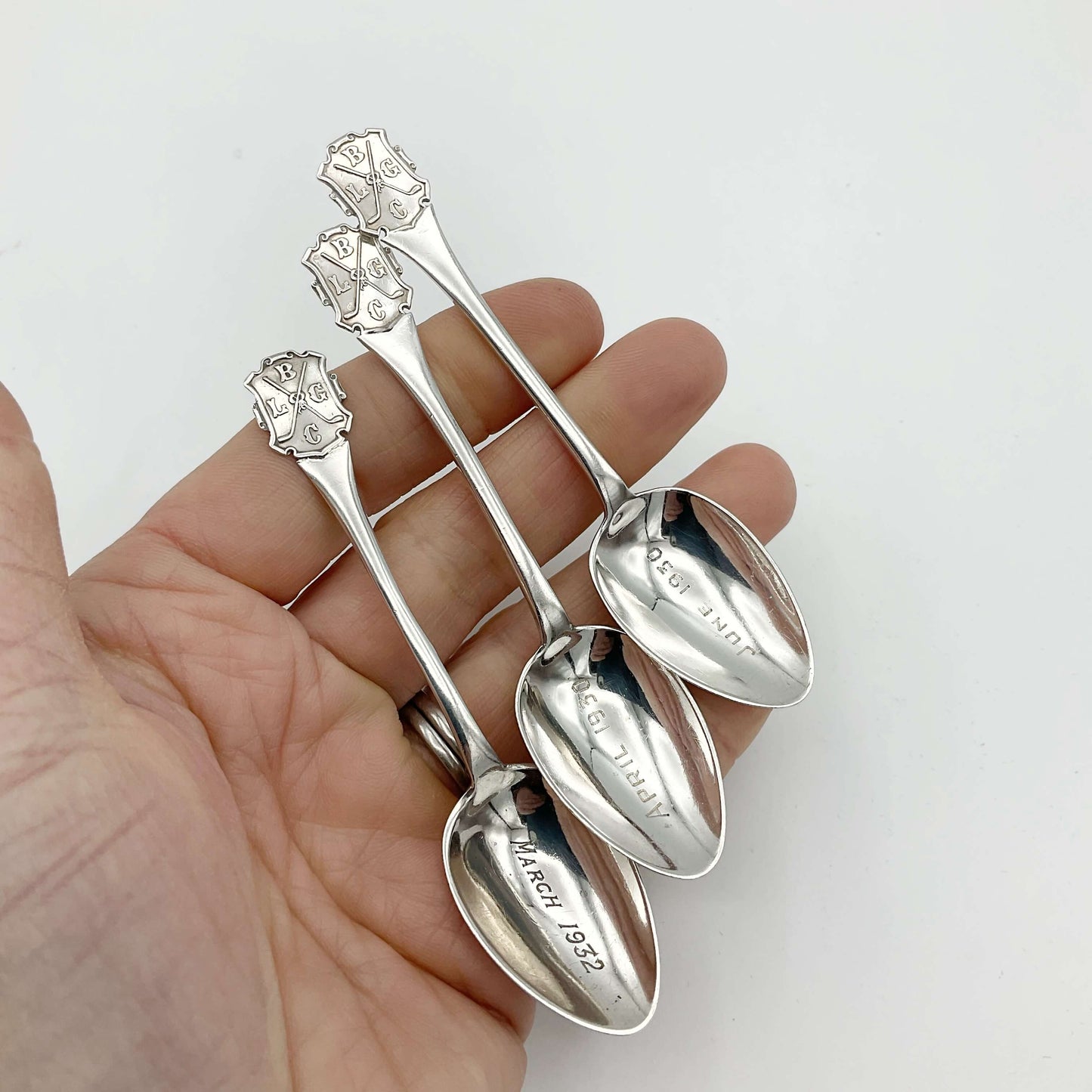 Three coffee spoons in a hand