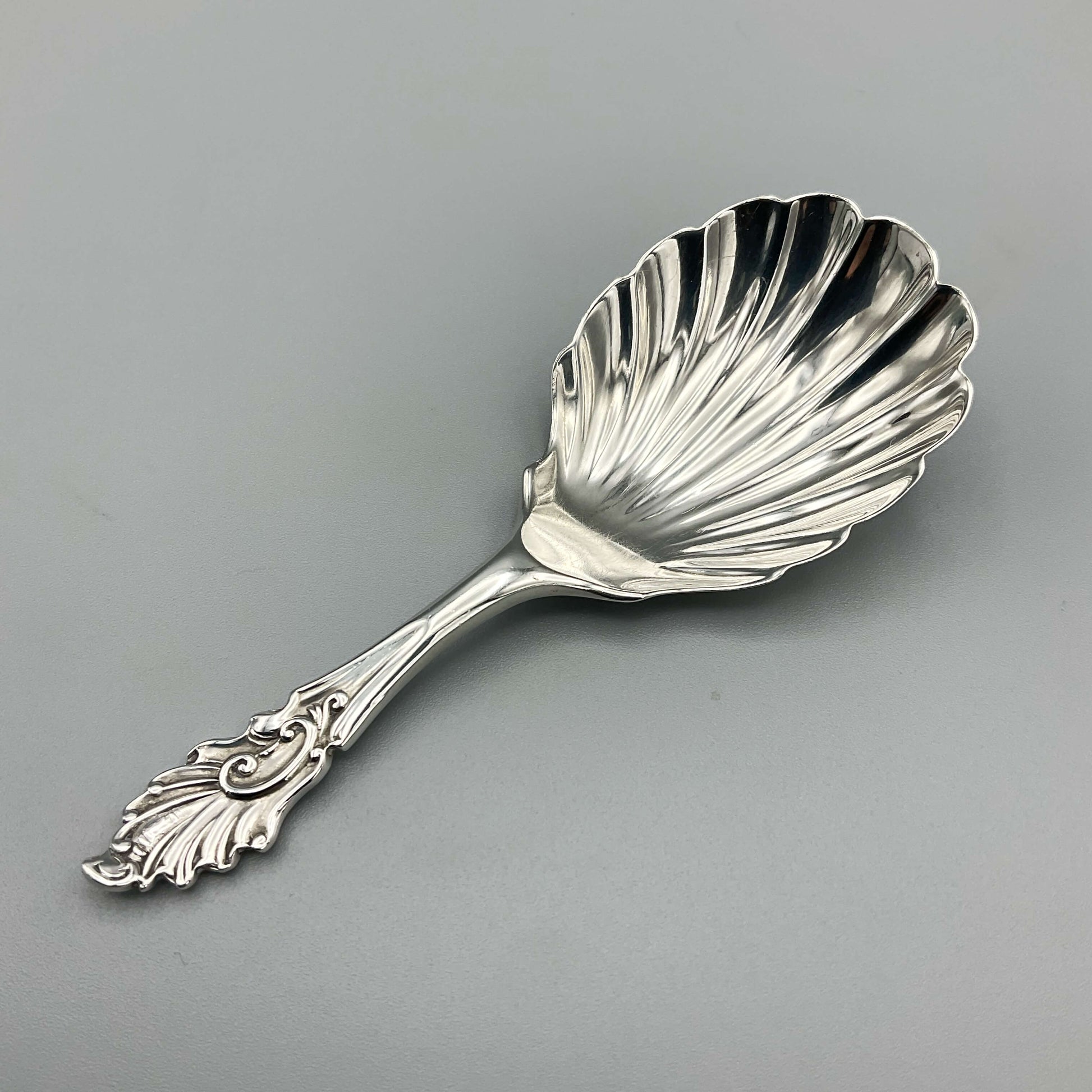 Siler caddy spoon on plain background 