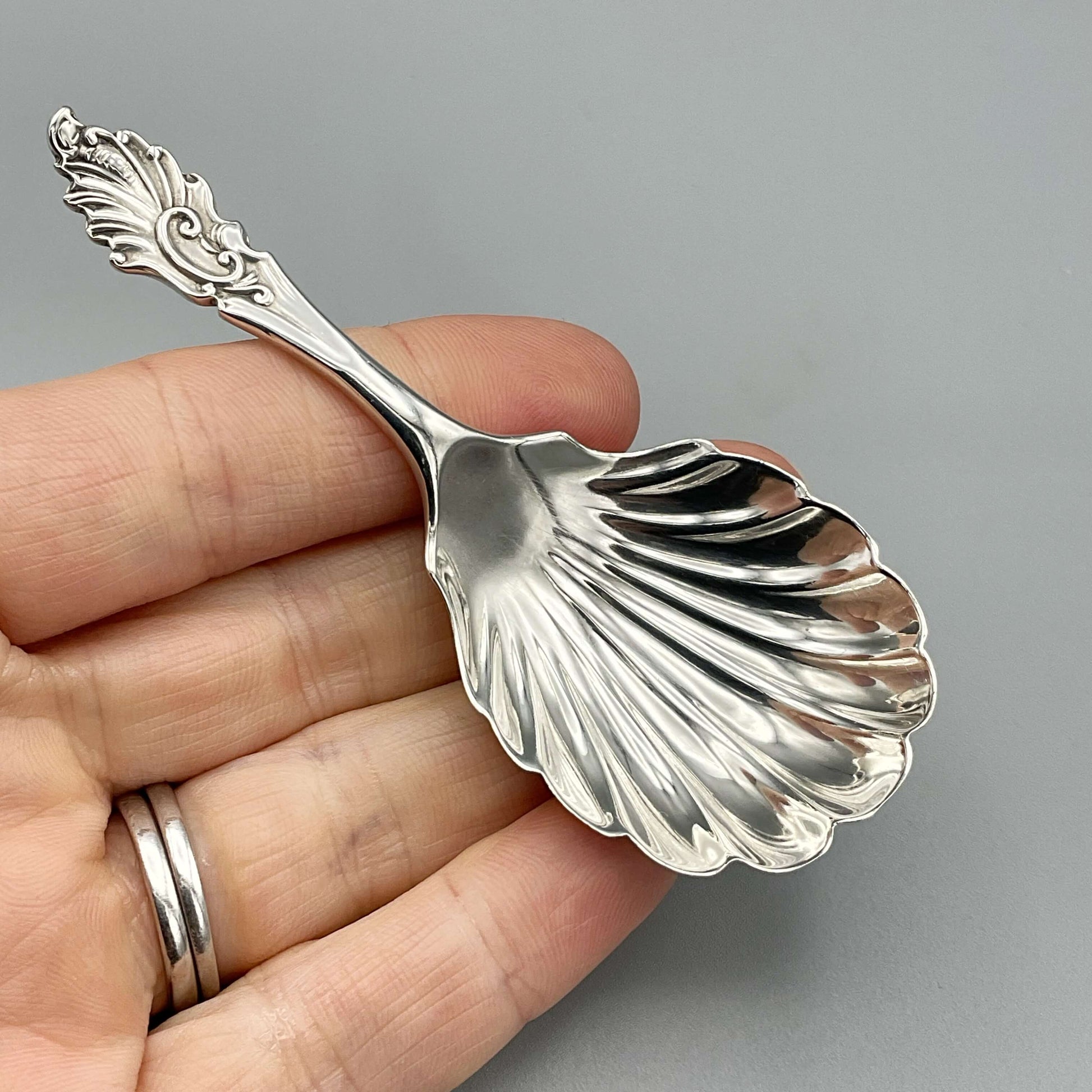 Silver caddy spoon held in a hand