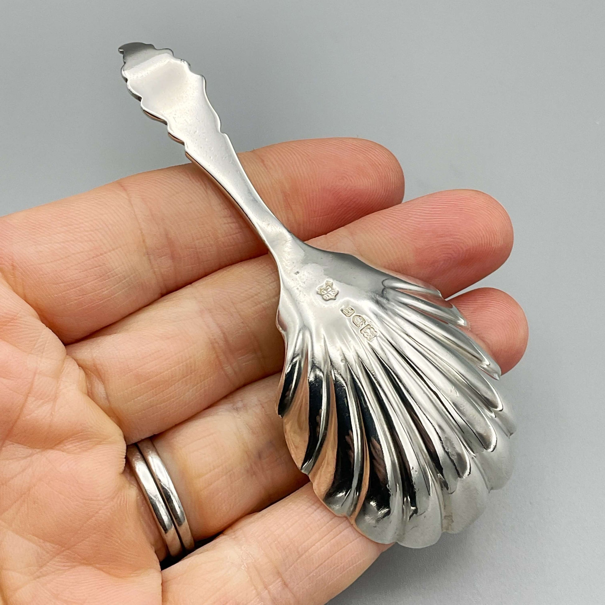 Back of silver caddy spoon held in a hand