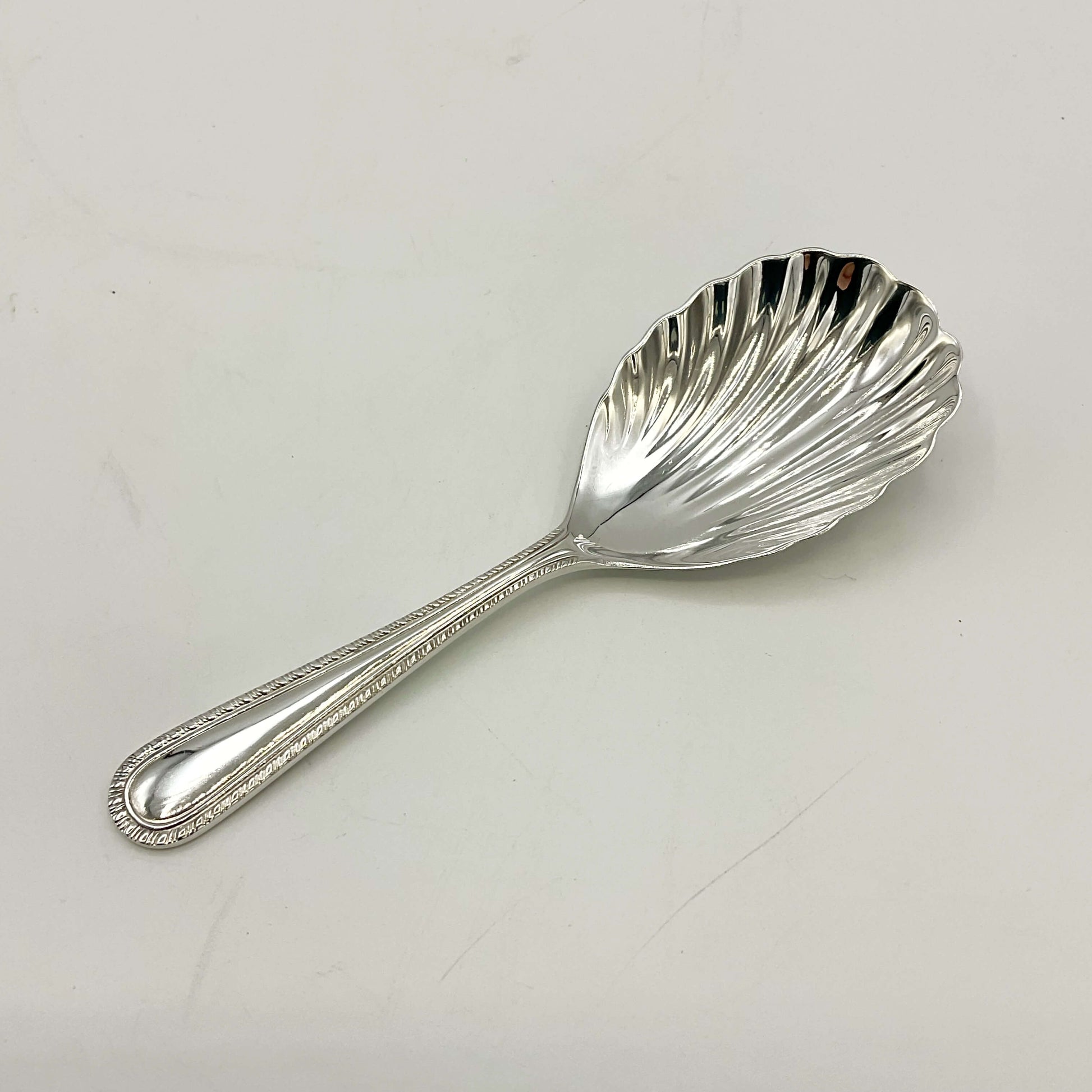 Sterling Silver Scallop Shaped Tea Caddy Spoon on a white background 