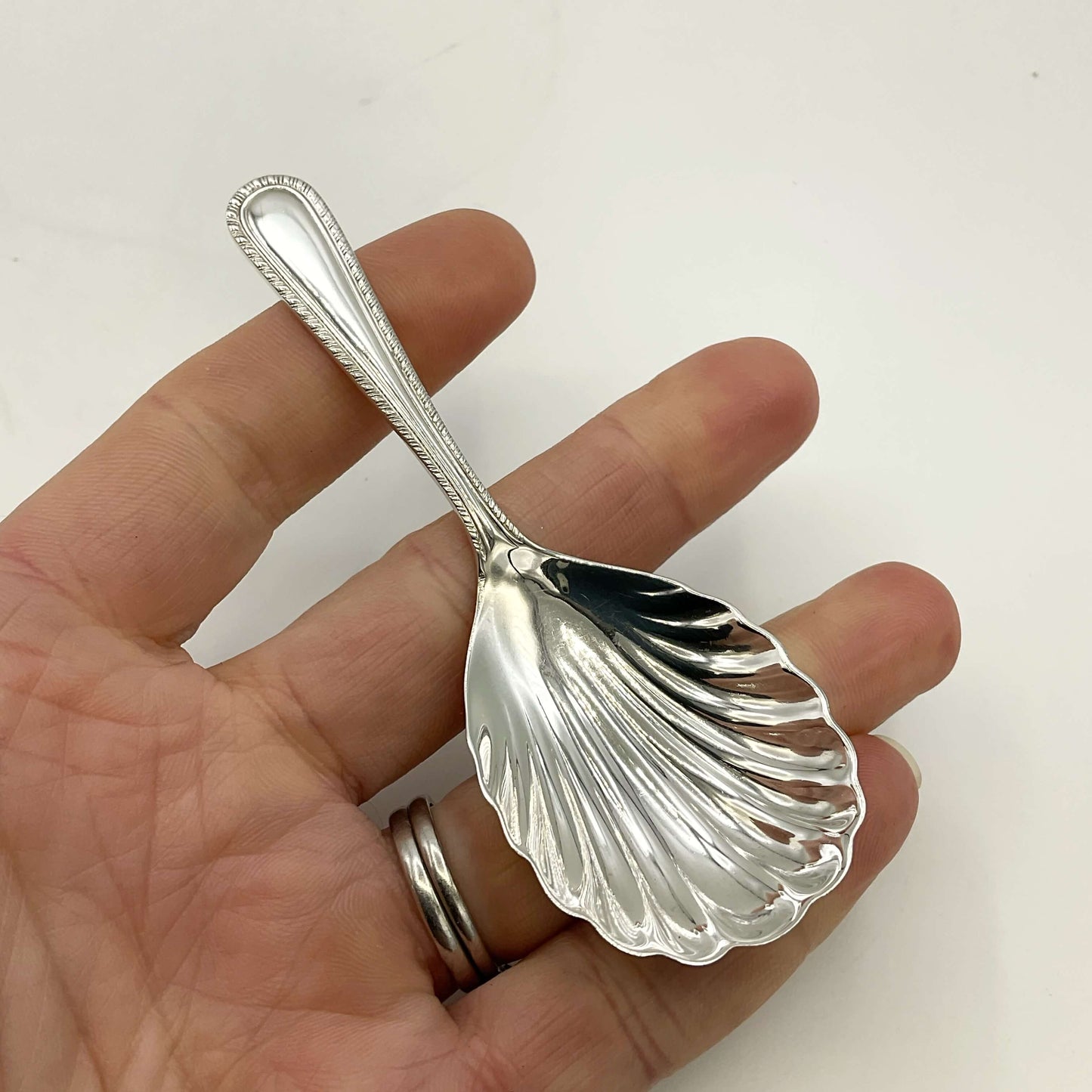 Sterling Silver Scallop Shaped Tea Caddy Spoon held in a hand on a white background 