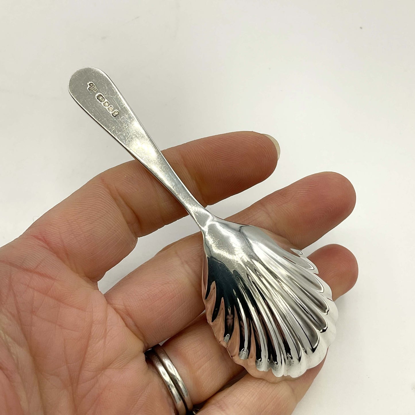 Back of Sterling Scallop Shaped Tea Caddy Spoon held in a hand on a white background  
