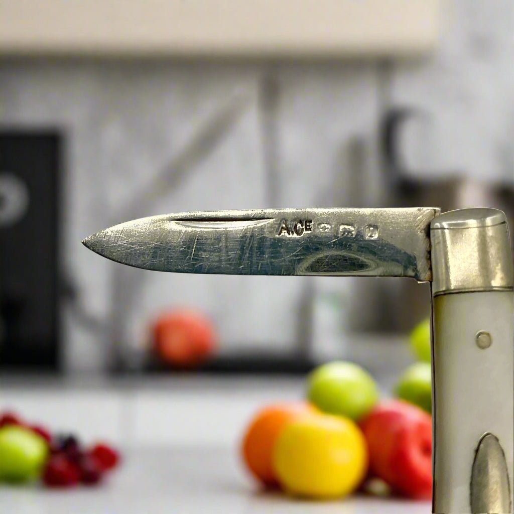The blade of the Silver bladed fruit knife with a mother of Pearl handle showing the hallmarks with a kitchen in the background.