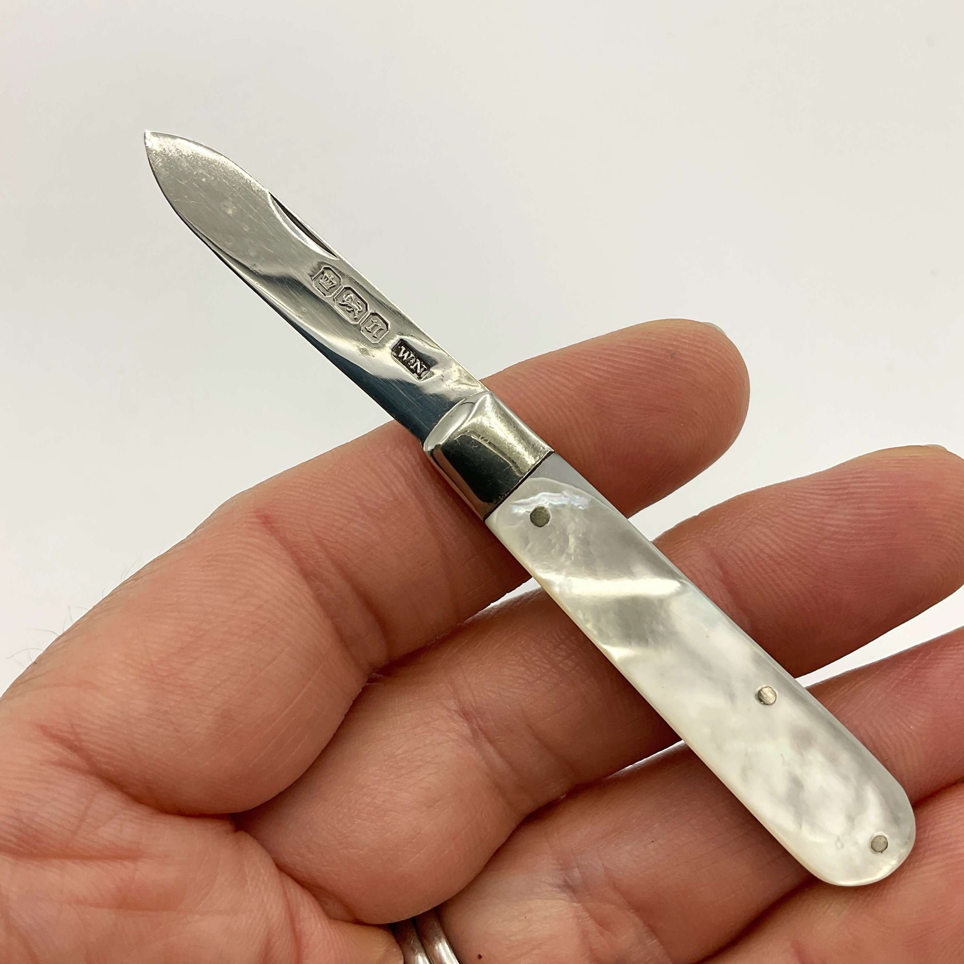 Silver fruit knife held in a hand with a white background 