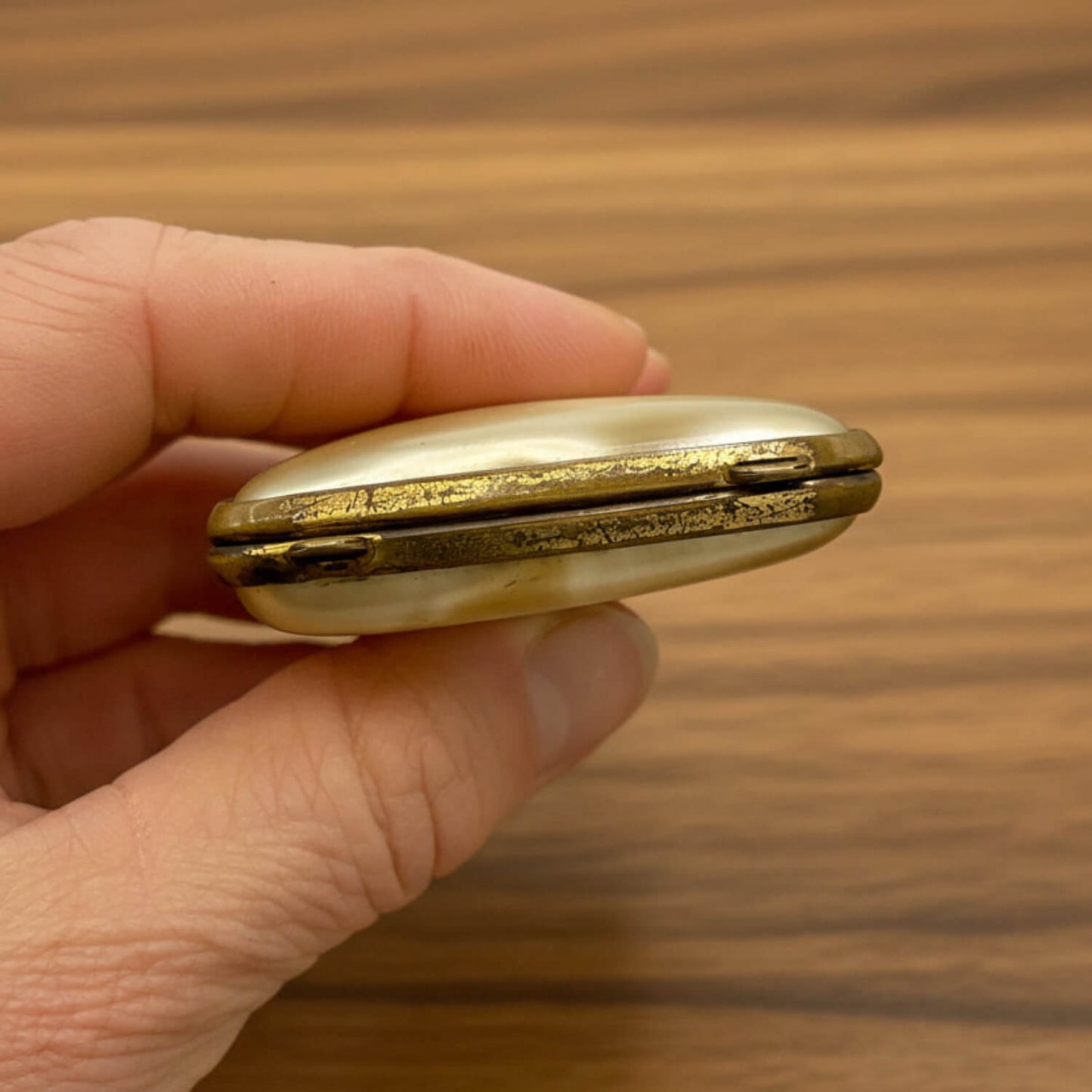 Hand holding a small case against a wooden background