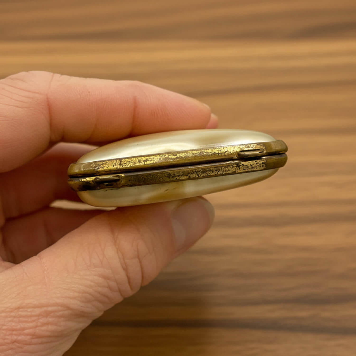 Hand holding a small case against a wooden background