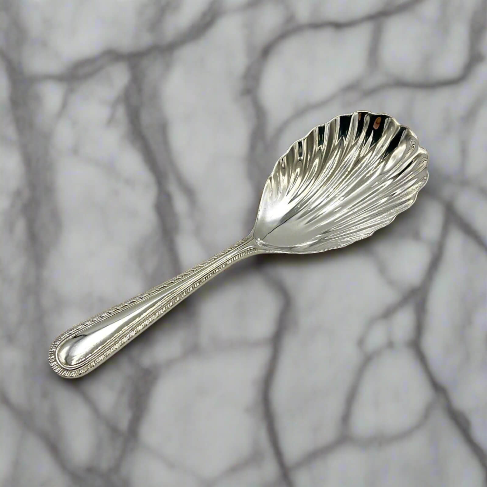 silver tea caddy spoon on marble